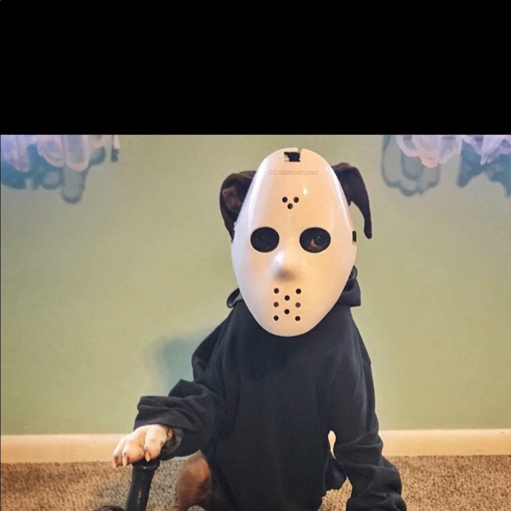 Meet your Posher, Frank